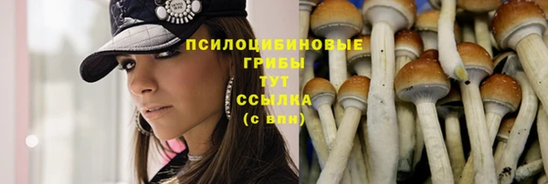 гашик Киренск