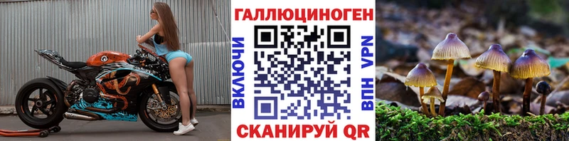 Купить закладки  Ижевск  Галлюциногенные грибы Cubensis 
